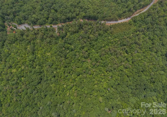 20th image of 228 Brighton Dr, Bostic, NC 28018 | MLS# 4392659