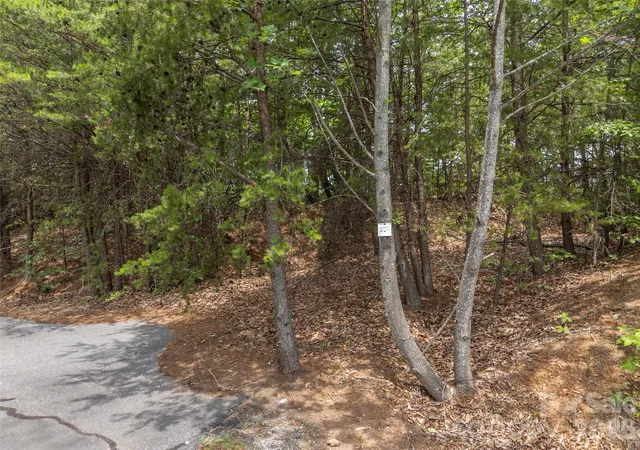 3rd image of 228 Brighton Dr, Bostic, NC 28018 | MLS# 4392659