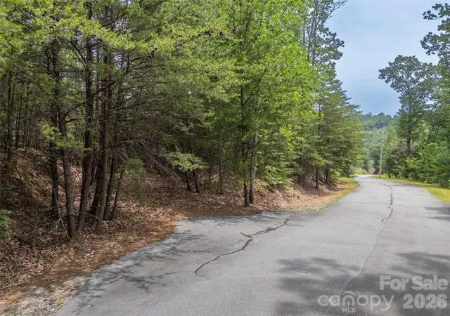4th image of 228 Brighton Dr, Bostic, NC 28018 | MLS# 4392659