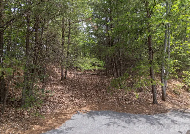 5th image of 228 Brighton Dr, Bostic, NC 28018 | MLS# 4392659