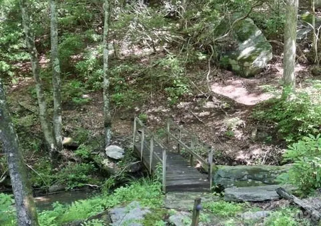 5th image of 630 Shumont Rd, Black Mountain, NC 28711 | MLS# 4392695