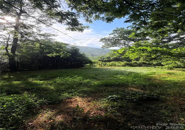 12th image of 20 Utopia Rd, Asheville, NC 28805 | MLS# 4392842