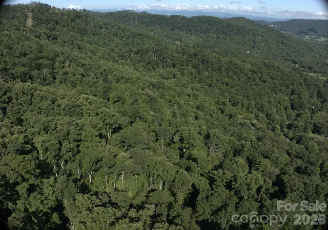 4th image of Tbd Ox Creek Rd, Weaverville, NC 28787 | MLS# 4392853