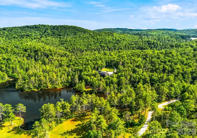 Homes for sale in Cedar Mountain, NC | 1367 Stones Lake Rd, Cedar Mountain, NC 28718 | MLS# 4392859