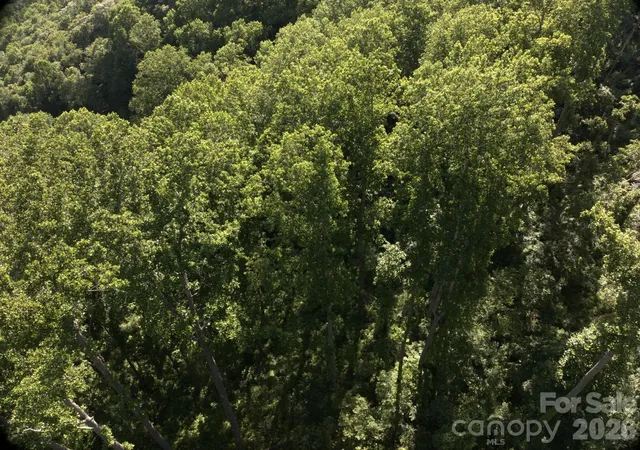 Photo 4 of Land for sale at 00 Ox Crk Crst Ln, Weaverville, NC 28787 | MLS# 4392887 | Listing updated on 2026-09-16