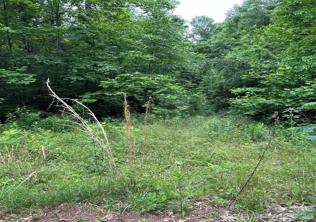 Photo 3 of Land for sale at 0 Silverstone Dr #16 & 17, Hendersonville, NC 28792 | MLS# 4392888 | Listing updated on 2026-06-13