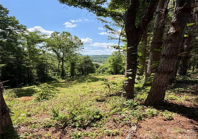 2nd image of 12 Willow Knoll Dr, Weaverville, NC 28787 | MLS# 4392943