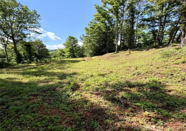 4th image of 12 Willow Knoll Dr, Weaverville, NC 28787 | MLS# 4392943