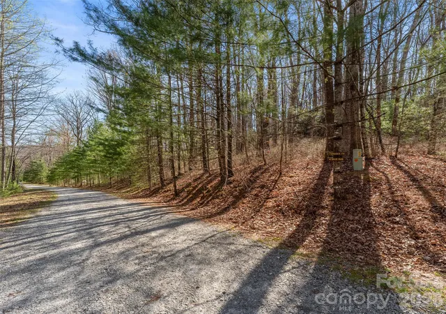 Homes for sale in Brevard, NC | Tbd White Oak Ter #9, Brevard, NC 28712 | MLS# 4392967