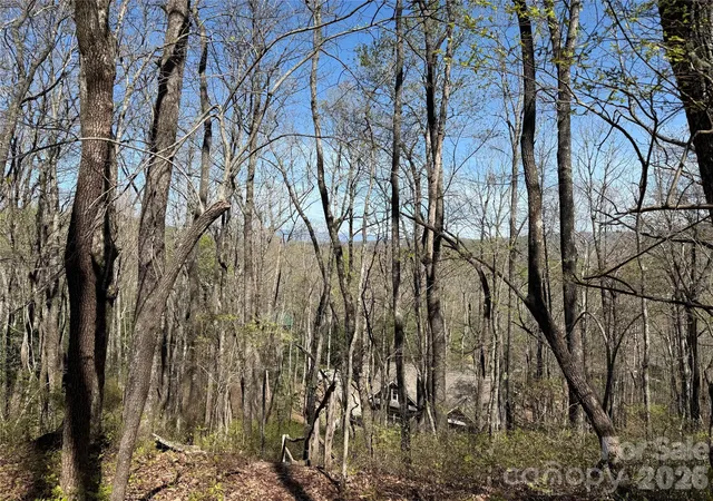 Homes for sale in Brevard, NC | Tbd White Oak Ter #9, Brevard, NC 28712 | MLS# 4392967