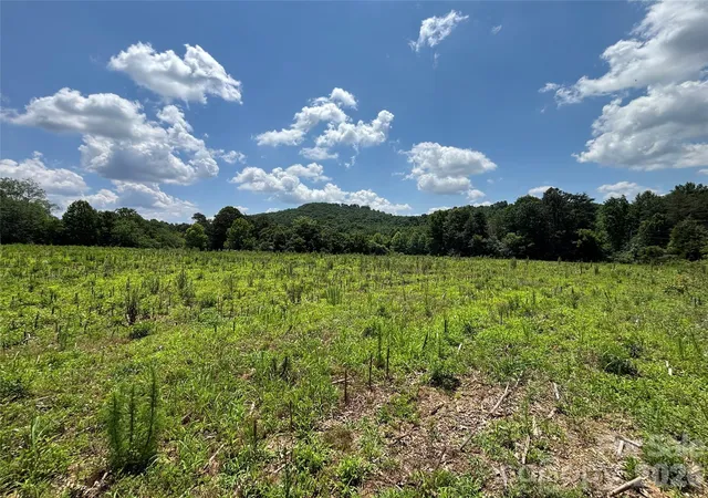 Photo 3 of Land for sale at 00 Brookhaven Rd, Statesville, NC 28625 | MLS# 4393061 | Listing updated on 2026-06-13