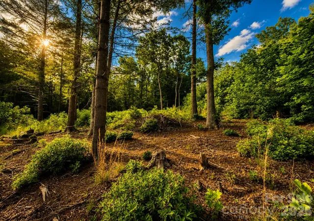 Photo 1 of Land for sale at 201 Cross Crk N Ridge Dr #46, Marion, NC 28752 | MLS# 4393101 | Listing updated on 2026-06-13