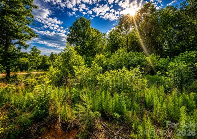Photo 4 of Land for sale at 201 Cross Crk N Ridge Dr #46, Marion, NC 28752 | MLS# 4393101 | Listing updated on 2026-06-13