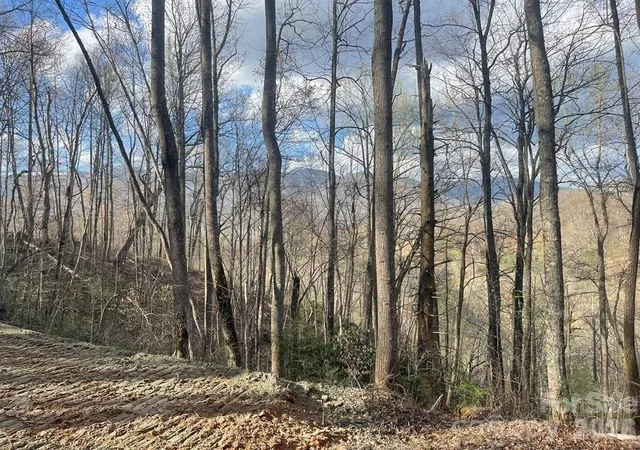 Photo 5 of Land for sale at 700 Copperhead Cvs, Sylva, NC 28779 | MLS# 4393107 | Listing updated on 2026-06-15