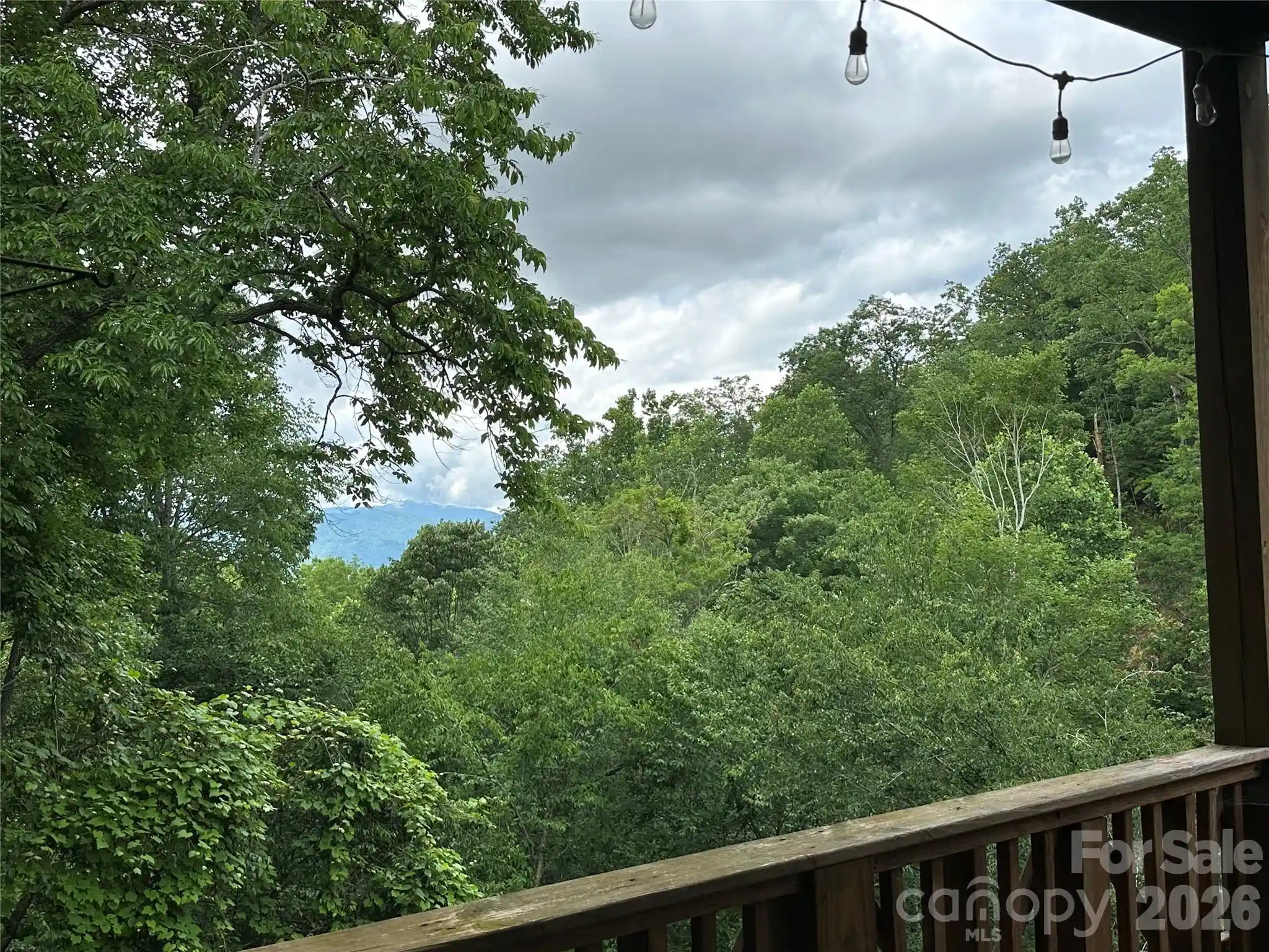 Listing Photo 36 - Condo for sale in 222 Creekside Wy located at 222 Creekside Wy, Burnsville, NC 28714 - Unit #D/101