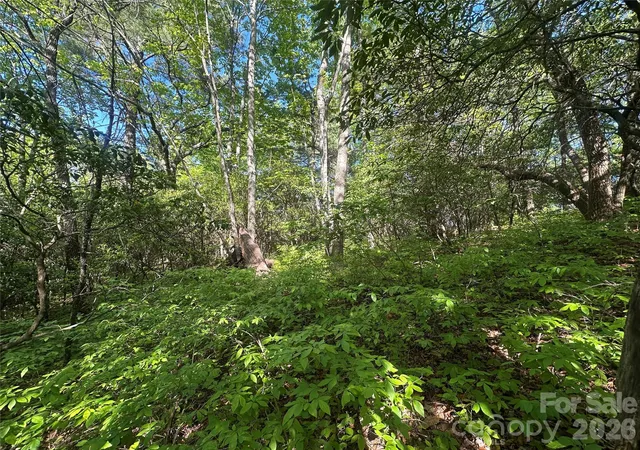 Homes for sale in Lake Toxaway, NC | Rr 17 Lakeside Dr, Lake Toxaway, NC 28747 | MLS# 4393324