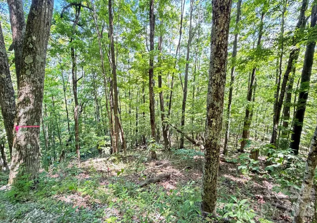 Photo 5 of Land for sale at Tbd Greencove Dr, Seven Devils, NC 28604 | MLS# 4393391 | Listing updated on 2026-09-02