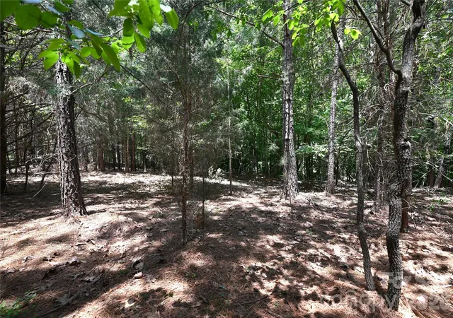 Homes for sale in Stony Point, NC | 136 Oak Point Ln #36, Stony Point, NC 28678 | MLS# 4393445