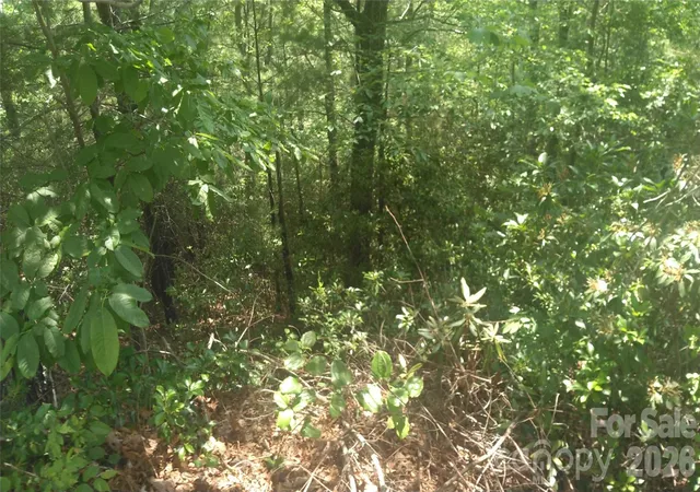 Photo 3 of Land for sale at Lot 2f Seminole Path, Marion, NC 28752 | MLS# 4393481 | Listing updated on 2026-07-30