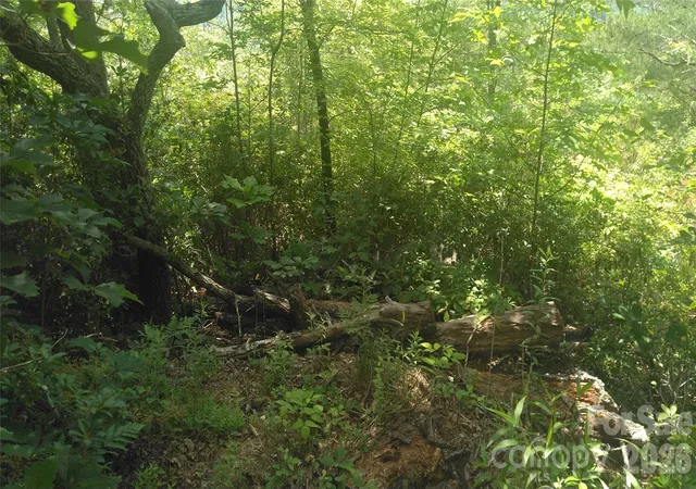Photo 4 of Land for sale at Lot 2f Seminole Path, Marion, NC 28752 | MLS# 4393481 | Listing updated on 2026-07-30