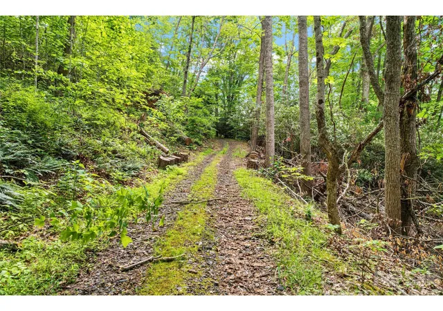 Homes for sale in Bakersville, NC | 000-000 Bee Branch Rd #14AC, Bakersville, NC 28705 | MLS# 4393511