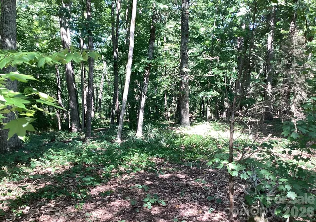 Photo 1 of Land for sale at 2870 Dunns Mountain Rd, Salisbury, NC 28146 | MLS# 4393531 | Listing updated on 2026-06-16