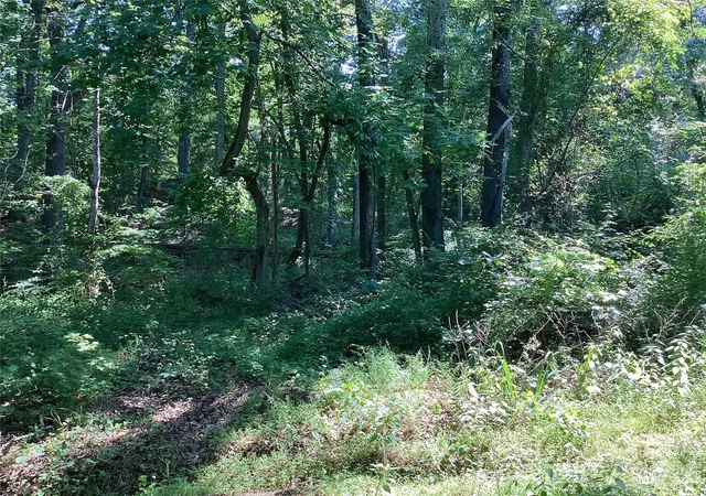 Photo 3 of Land for sale at 2870 Dunns Mountain Rd, Salisbury, NC 28146 | MLS# 4393531 | Listing updated on 2026-06-16