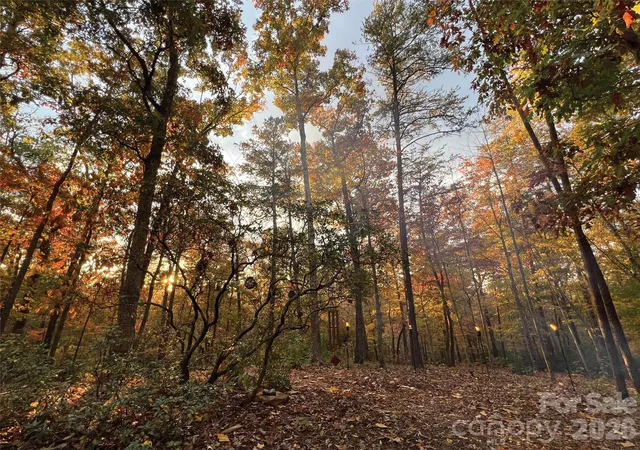 4th image of 00000 Shady Bark Ln #43 & 44, Rutherfordton, NC 28139 | MLS# 4393583