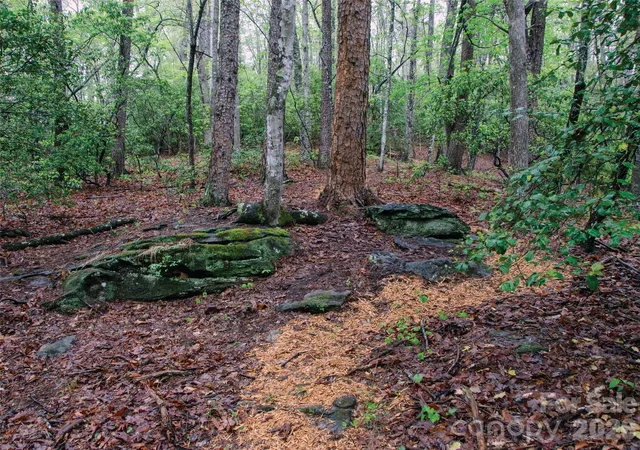 5th image of 00000 Shady Bark Ln #43 & 44, Rutherfordton, NC 28139 | MLS# 4393583
