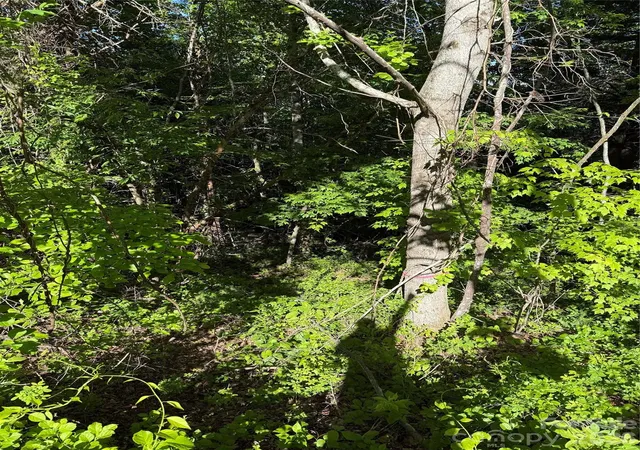 3rd image of 9999 Hunters Ridge Rd, Canton, NC 28716 | MLS# 4393614