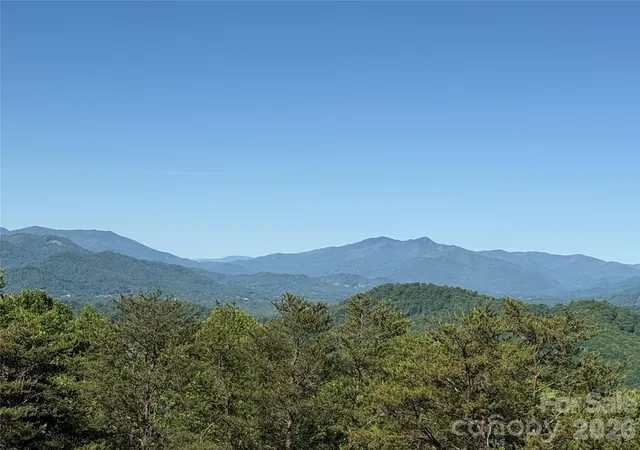 5th image of 9999 Hunters Ridge Rd, Canton, NC 28716 | MLS# 4393614