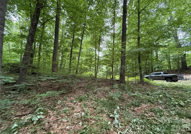 29th image of 9999 Countryside Est, Barnardsville, NC 28709 | MLS# 4393636