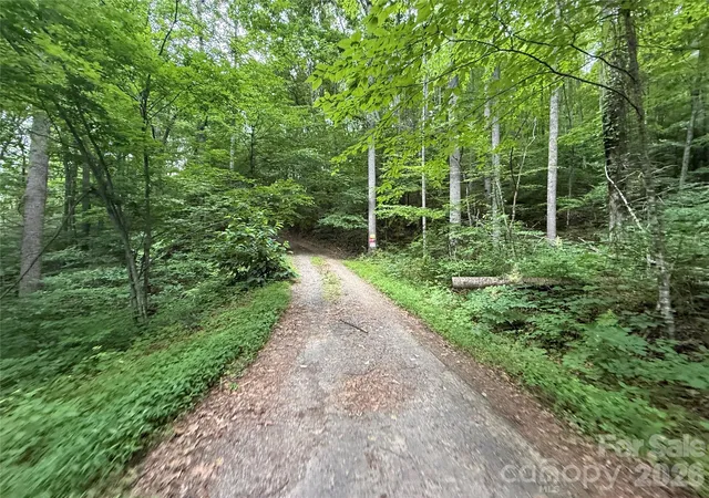 2nd image of 9999 Countryside Est, Barnardsville, NC 28709 | MLS# 4393636