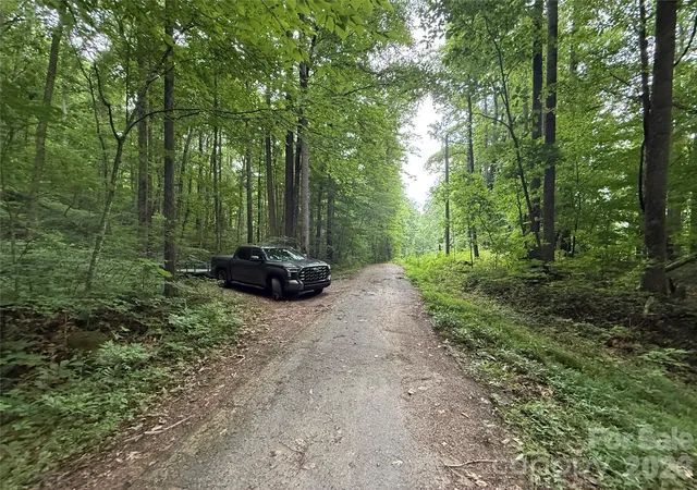 3rd image of 9999 Countryside Est, Barnardsville, NC 28709 | MLS# 4393636