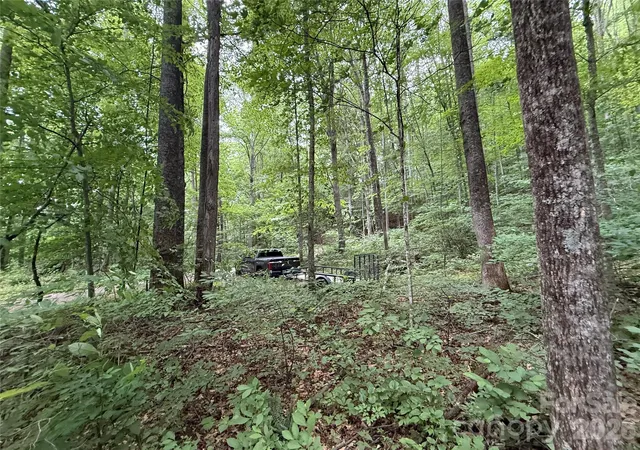 5th image of 9999 Countryside Est, Barnardsville, NC 28709 | MLS# 4393636