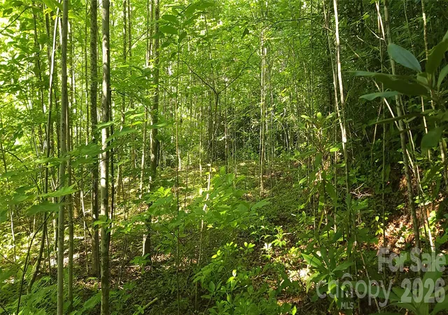 Photo 1 of Land for sale at Lot# 19 Mill Crk Rd, Old Fort, NC 28762 | MLS# 4393731 | Listing updated on 2026-09-03