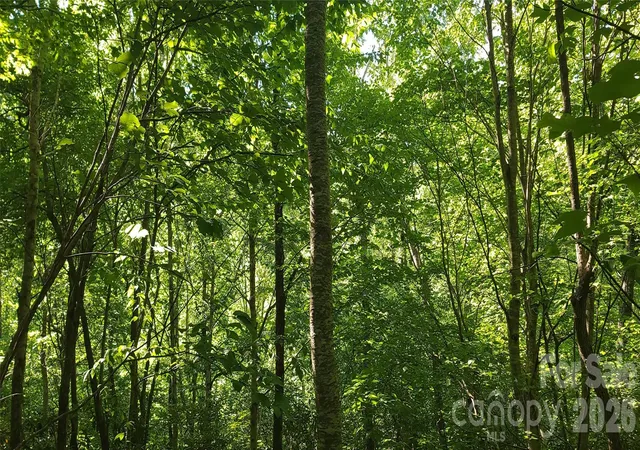 Photo 2 of Land for sale at Lot# 19 Mill Crk Rd, Old Fort, NC 28762 | MLS# 4393731 | Listing updated on 2026-09-03