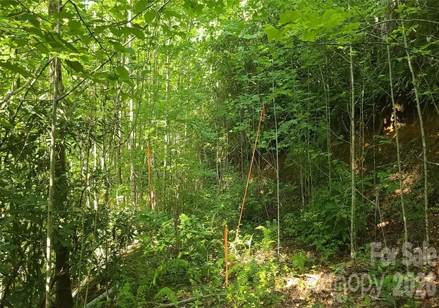 Photo 3 of Land for sale at Lot# 19 Mill Crk Rd, Old Fort, NC 28762 | MLS# 4393731 | Listing updated on 2026-09-03