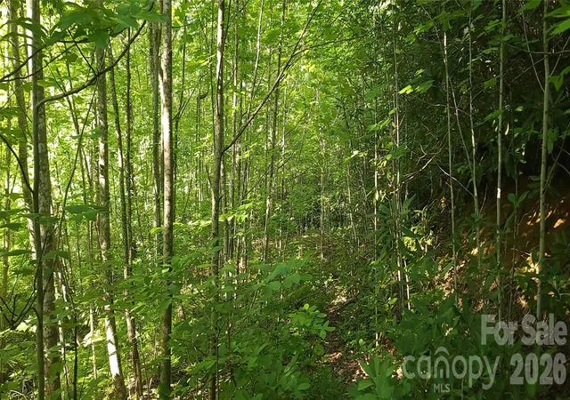 Photo 3 of Land for sale at Lot# 19 Mill Crk Rd, Old Fort, NC 28762 | MLS# 4393731 | Listing updated on 2026-09-03