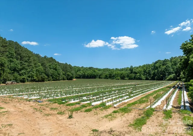 Photo 2 of Land for sale at 99999 Tryon Rd, Rutherfordton, NC 28139 | MLS# 4393753 | Listing updated on 2026-06-29