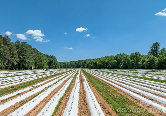 Photo 3 of Land for sale at 99999 Tryon Rd, Rutherfordton, NC 28139 | MLS# 4393753 | Listing updated on 2026-06-29