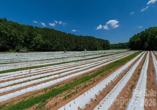 Photo 3 of Land for sale at 99999 Tryon Rd, Rutherfordton, NC 28139 | MLS# 4393753 | Listing updated on 2026-06-29