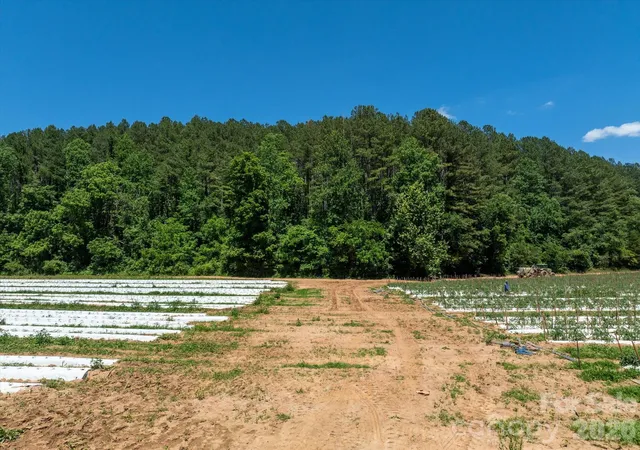 Photo 4 of Land for sale at 99999 Tryon Rd, Rutherfordton, NC 28139 | MLS# 4393753 | Listing updated on 2026-06-29