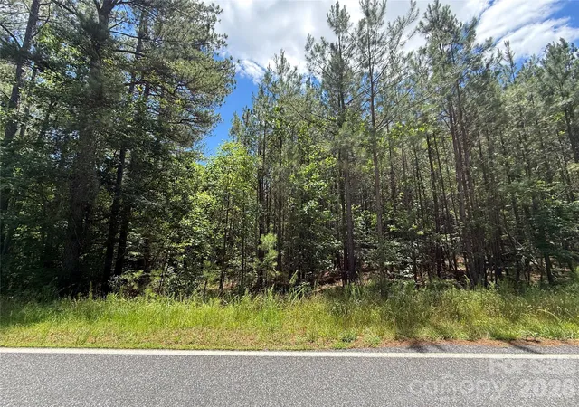 4th image of 9999 Clark Rd, Rutherfordton, NC 28139 | MLS# 4393772