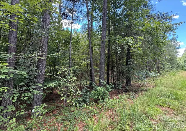 5th image of 9999 Clark Rd, Rutherfordton, NC 28139 | MLS# 4393772