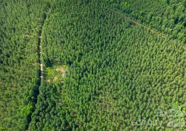 4th image of 000 Peacehaven Rd #9, Mc Connells, SC 29726 | MLS# 4393796