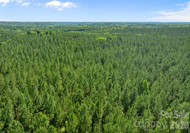 5th image of 000 Peacehaven Rd #9, Mc Connells, SC 29726 | MLS# 4393796