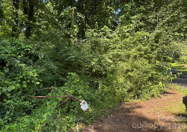 Homes for sale in Bryson City, NC | 0 Arlington Ext, Bryson City, NC 28713 | MLS# 4393815