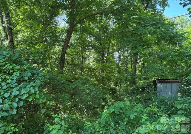 Homes for sale in Bryson City, NC | 0 Arlington Ext, Bryson City, NC 28713 | MLS# 4393815