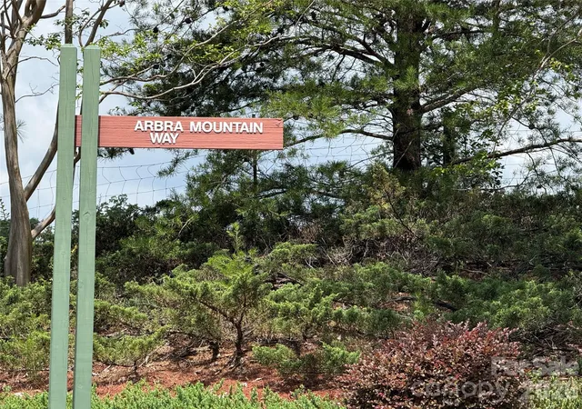 2nd image of Lot 15 Arbra Mountain Wy, Bostic, NC 28018 | MLS# 4393817